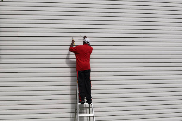 Best Historical Building Siding Restoration  in Sage, CA