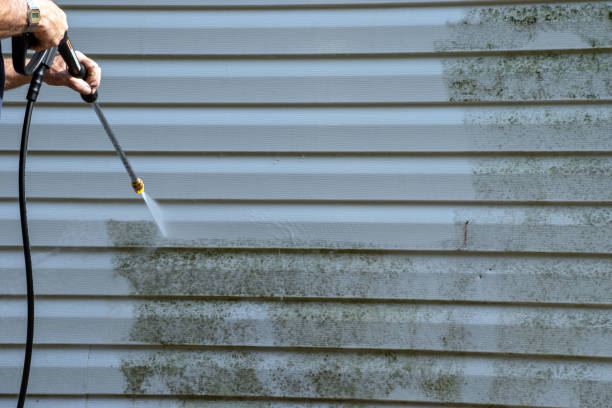Best Stone Veneer Siding  in Sage, CA