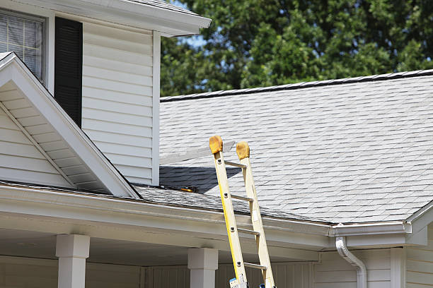 Best Residential Vinyl Siding Installation  in Sage, CA